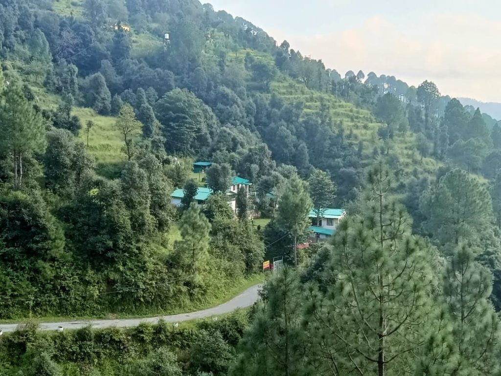 whatsapp image 2025 05 27 at 23.51.47 a20ac8a0