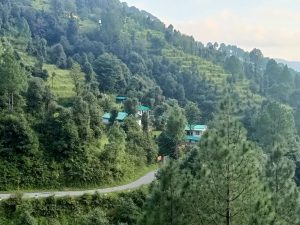 whatsapp image 2025 05 27 at 23.51.47 a20ac8a0