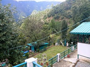 whatsapp image 2025 05 27 at 23.51.48 80c493ad