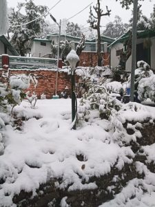 whatsapp image 2026 01 30 at 8.34.23 am