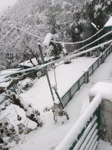 whatsapp image 2026 01 30 at 8.34.32 am